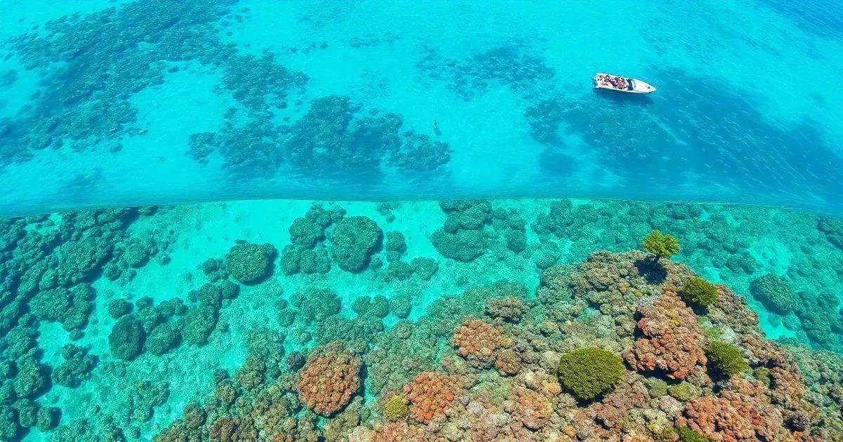 4. Destino 3: A Grande Barreira de Coral